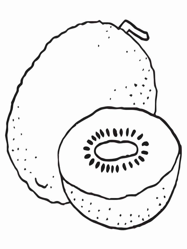 Desenho de kiwi para colorir, uma fruta oval e pequena com polpa verde e suculenta, contendo pequenas sementes pretas. O kiwi é doce e ácido, podendo ser usado em saladas, sucos, sorvetes e doces.