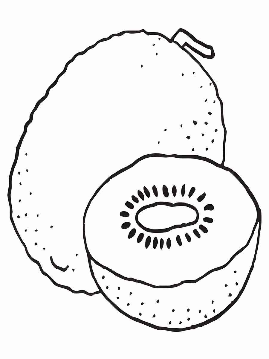 Desenho de kiwi para colorir, uma fruta oval e pequena com polpa verde e suculenta, contendo pequenas sementes pretas. O kiwi é doce e ácido, podendo ser usado em saladas, sucos, sorvetes e doces.