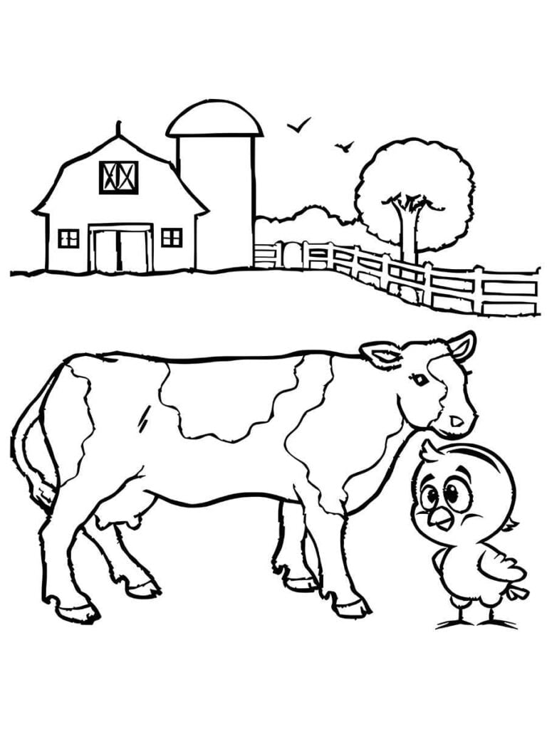 vaca e pintinho da galinha pintadinha para colorir