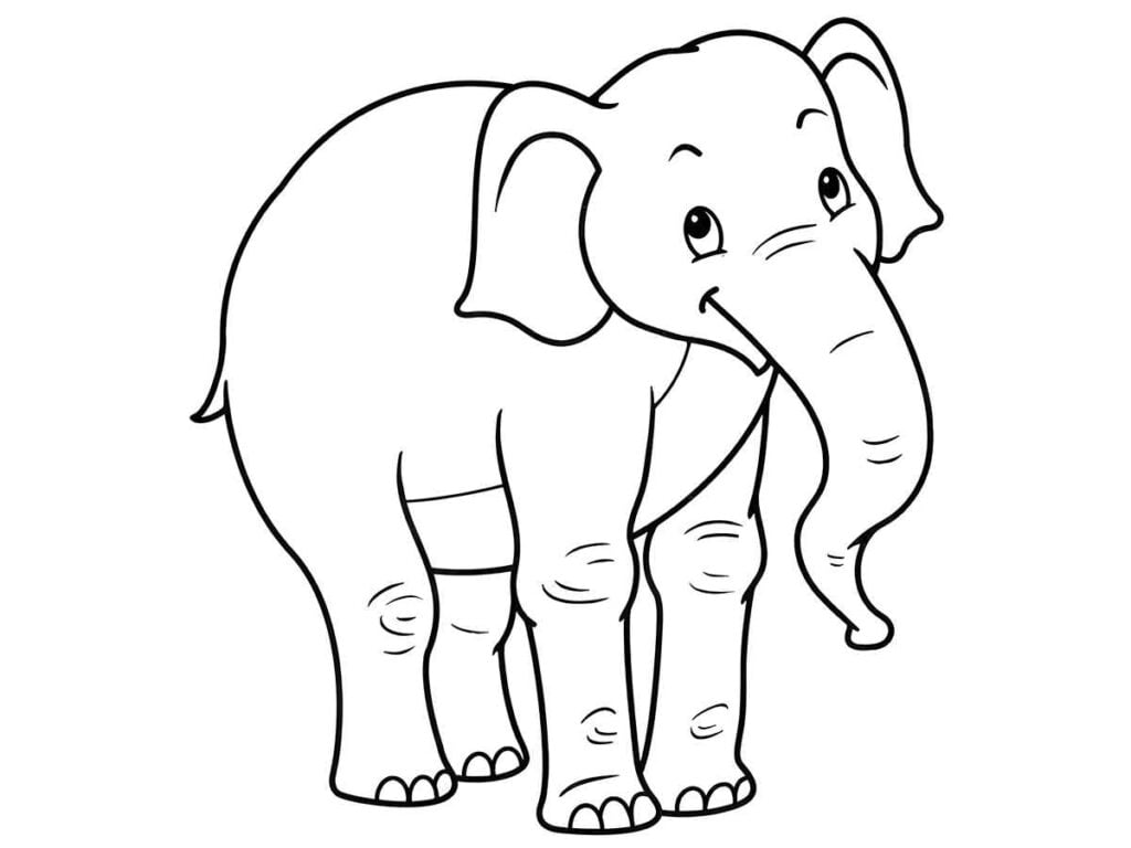 Desenho para colorir e imprimir elefante