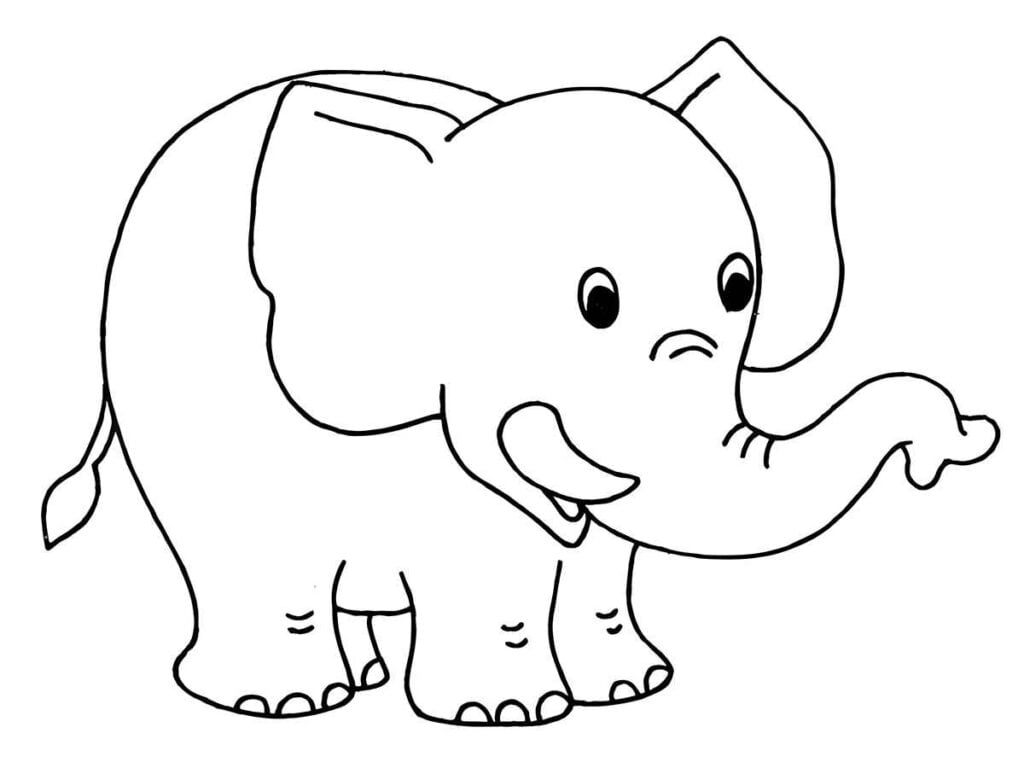 elefante para colorir