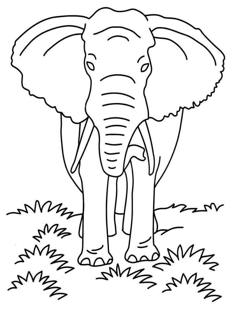 Desenho elefante para colorir