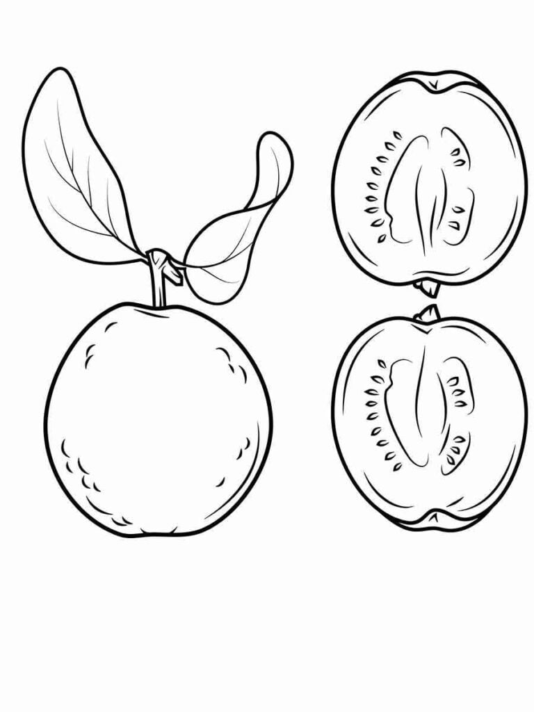 Desenho de pêssego para colorir. A fruta tem uma cor rosa ou amarela quando madura. O pêssego tem uma casca aveludada e uma polpa suculenta que envolve um caroço duro. É uma fruta doce e saborosa, usada em tortas, geleias, sorvetes e saladas. 