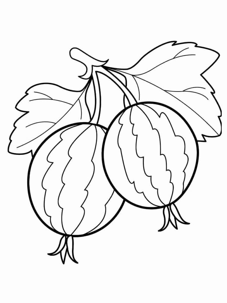 Desenho de gooseberry para colorir. A gooseberry é uma fruta pequena e redonda, de cor verde, amarela ou vermelha, que tem uma casca grossa e espinhosa. É rica em vitamina C, antioxidantes e fibras, que ajudam a prevenir infecções, inflamações e doenças cardiovasculares. Pode ser consumida fresca, em sucos, geleias ou tortas.