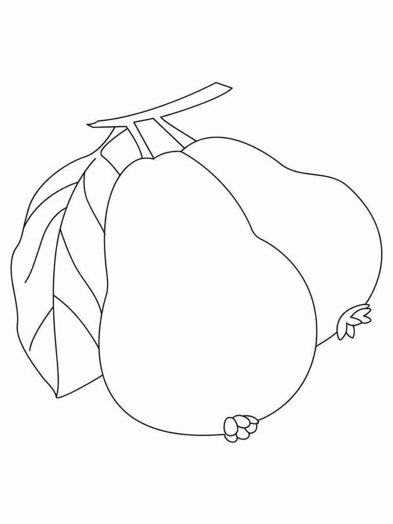 Desenho de goiabas para colorir. A goiaba é uma fruta tropical de forma redonda e cor verde ou amarela. Tem uma casca grossa e uma polpa suculenta com muitas sementes.