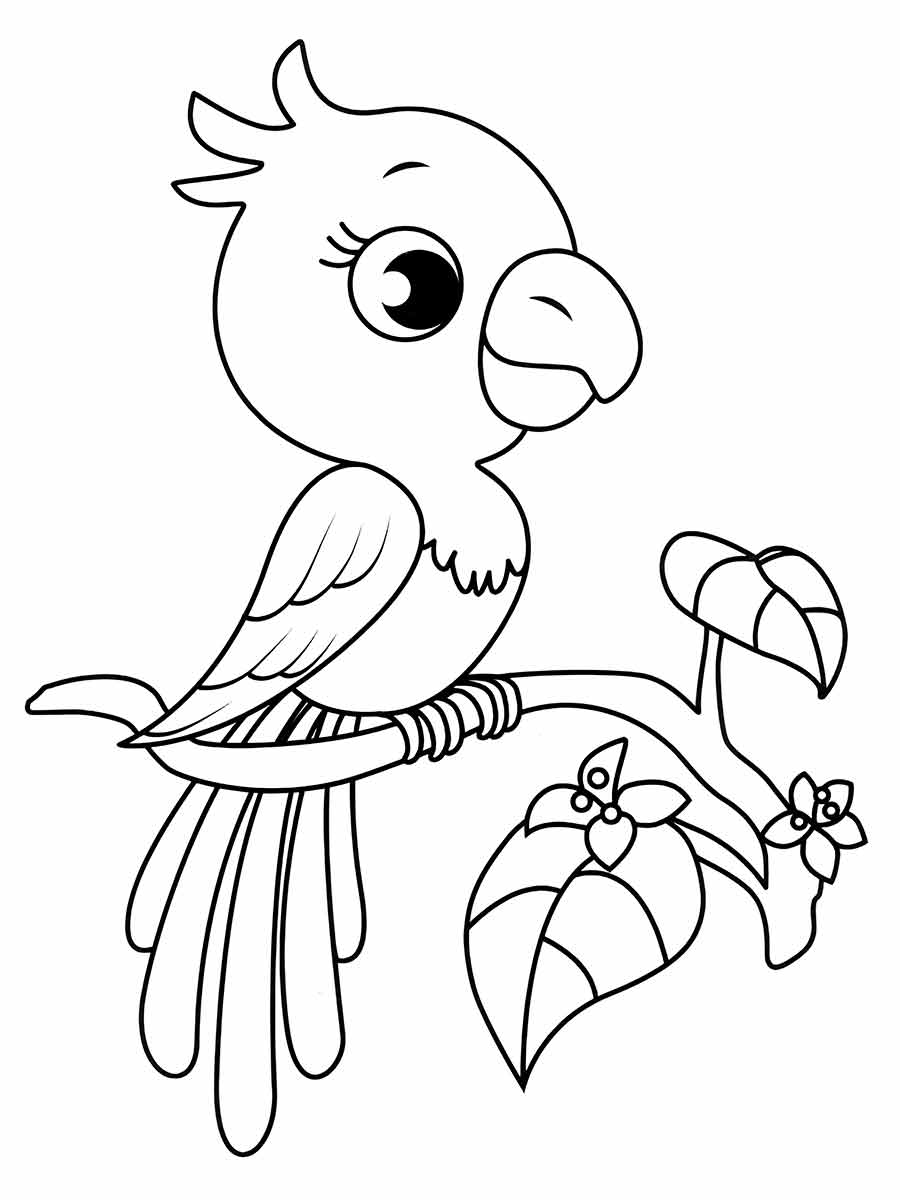 Desenho para Colorir de Papagaio Bebê