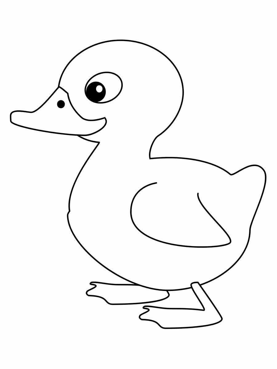 Desenho para Colorir de Pato