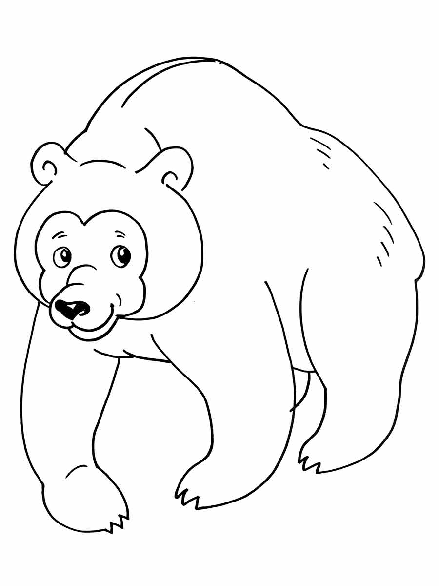 Desenho Infantil de Urso para Colorir