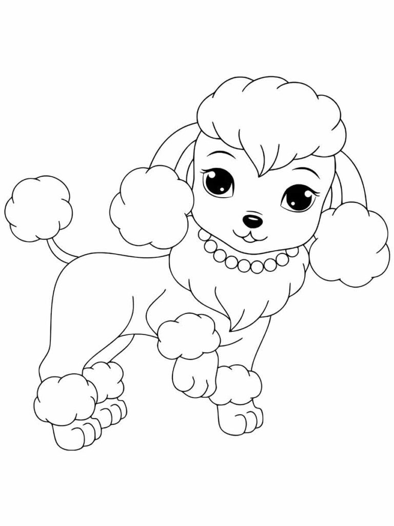 Desenho para colorir de um poodle. O poodle está em pé. Ele tem uma cauda fofa e pelos encaracolados nas pernas e na cabeça.