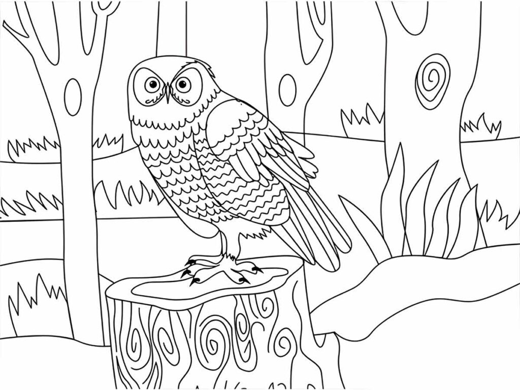 Desenho para colorir: uma coruja empoleirada em um toco de árvore na floresta.