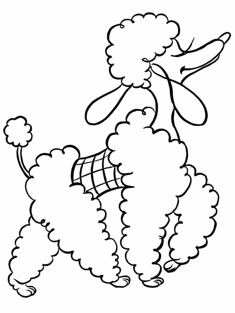 Desenho para colorir de um poodle em pé sobre as patas traseiras