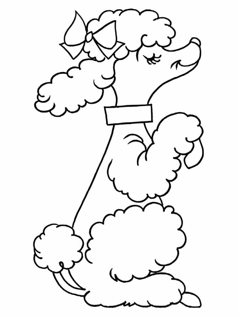 A imagem é um desenho em preto e branco de um poodle. O poodle está sentado em suas patas traseiras com as patas da frente no ar. O poodle tem um laço rosa na cabeça e uma coleira rosa ao redor do pescoço. O poodle tem pelo encaracolado no corpo, pernas e cauda. O poodle tem um focinho longo e olhos fechados. É uma imagem adorável para colorir!