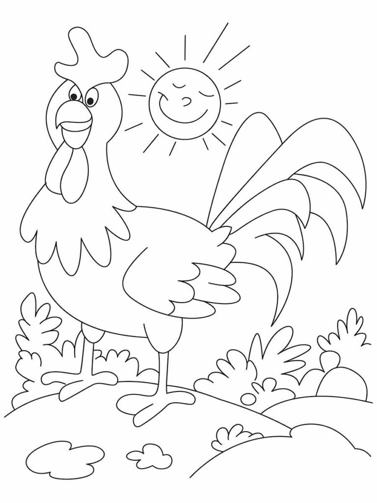 Desenho para colorir de um galo em pé numa colina gramada procurando uma galinha.