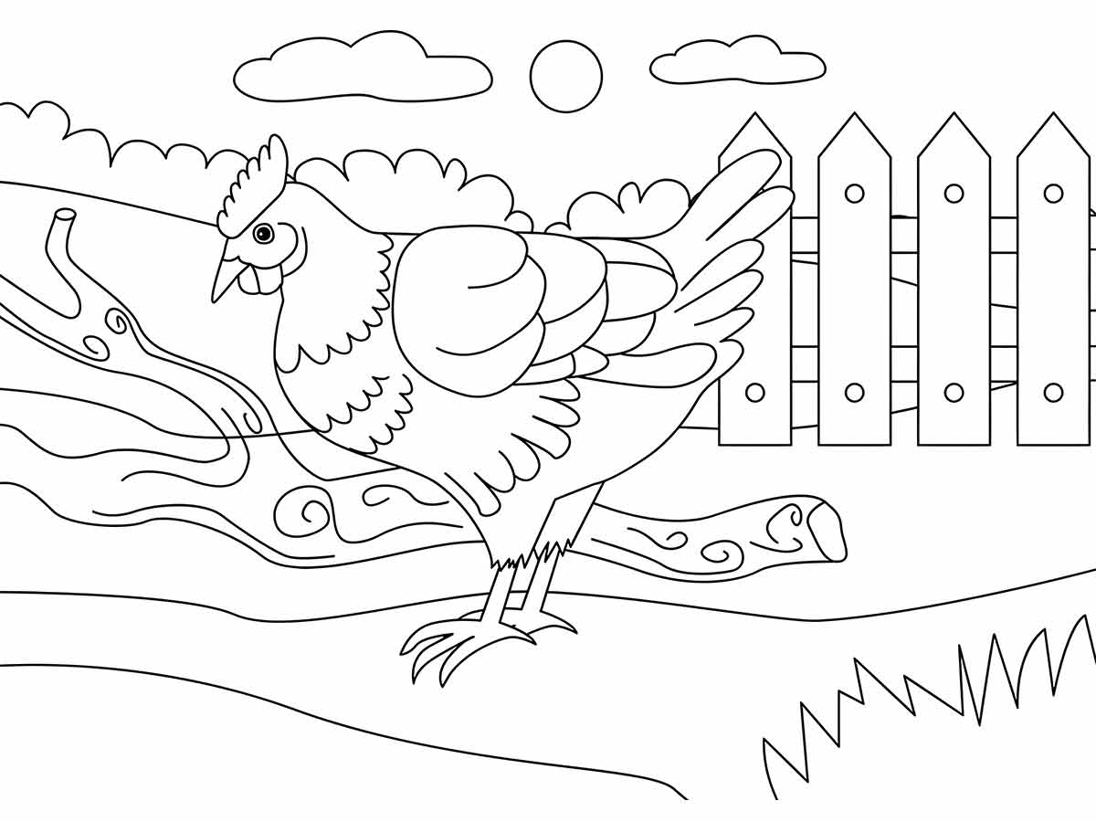 Desenho para colorir de um frango. O frango está de pé de lado de um galho em um cenário de fazenda. Ele olha para a direita e tem uma crista e barbelas grandes. O fundo inclui uma cerca, uma árvore, uma colina e o sol no céu. O desenho é no estilo de desenho animado.