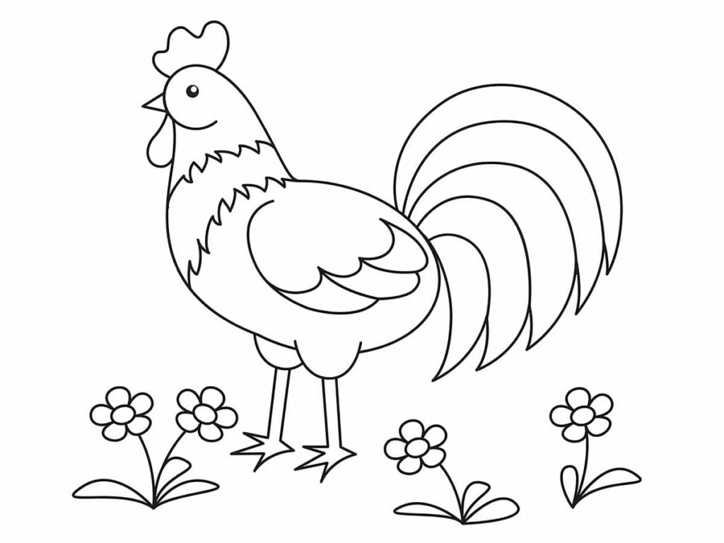 Desenho para colorir fácil de um galo. Ele tem uma crista grande e uma cauda com muitas penas.