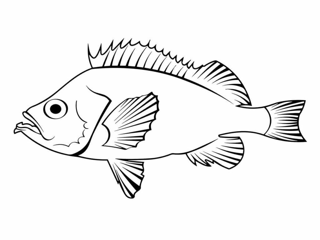 Desenho de peixes para colorir