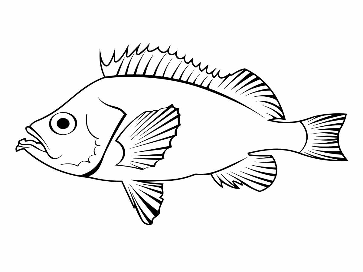 Desenho de peixes para colorir