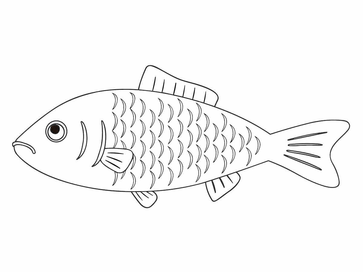 Desenho Educativo de peixe para colorir