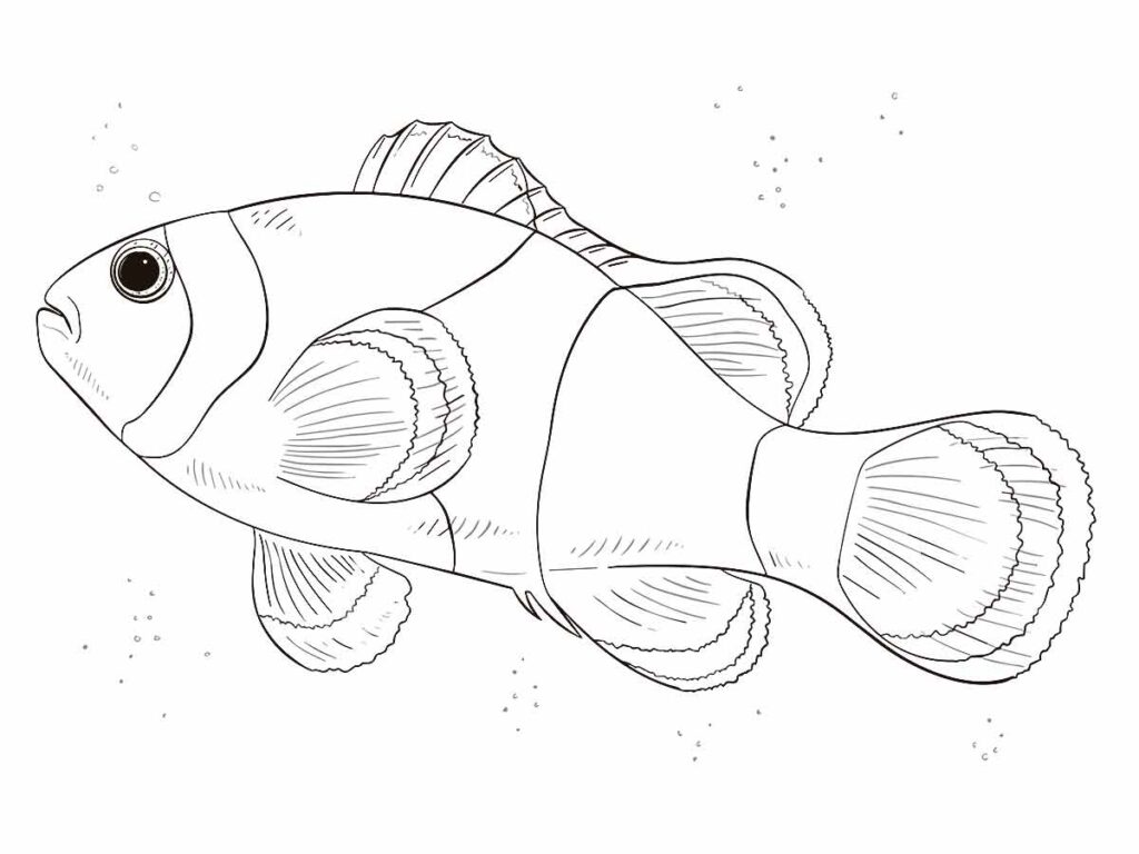 desenho fácil peixe