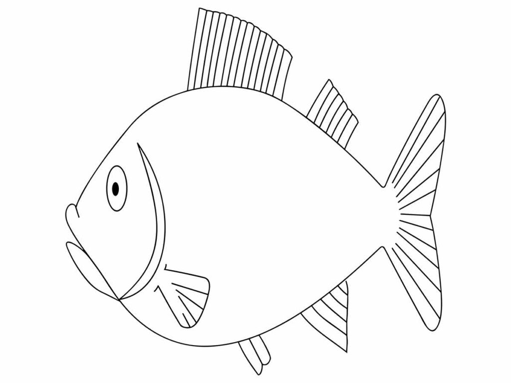 desenho peixe para imprimir e colorir