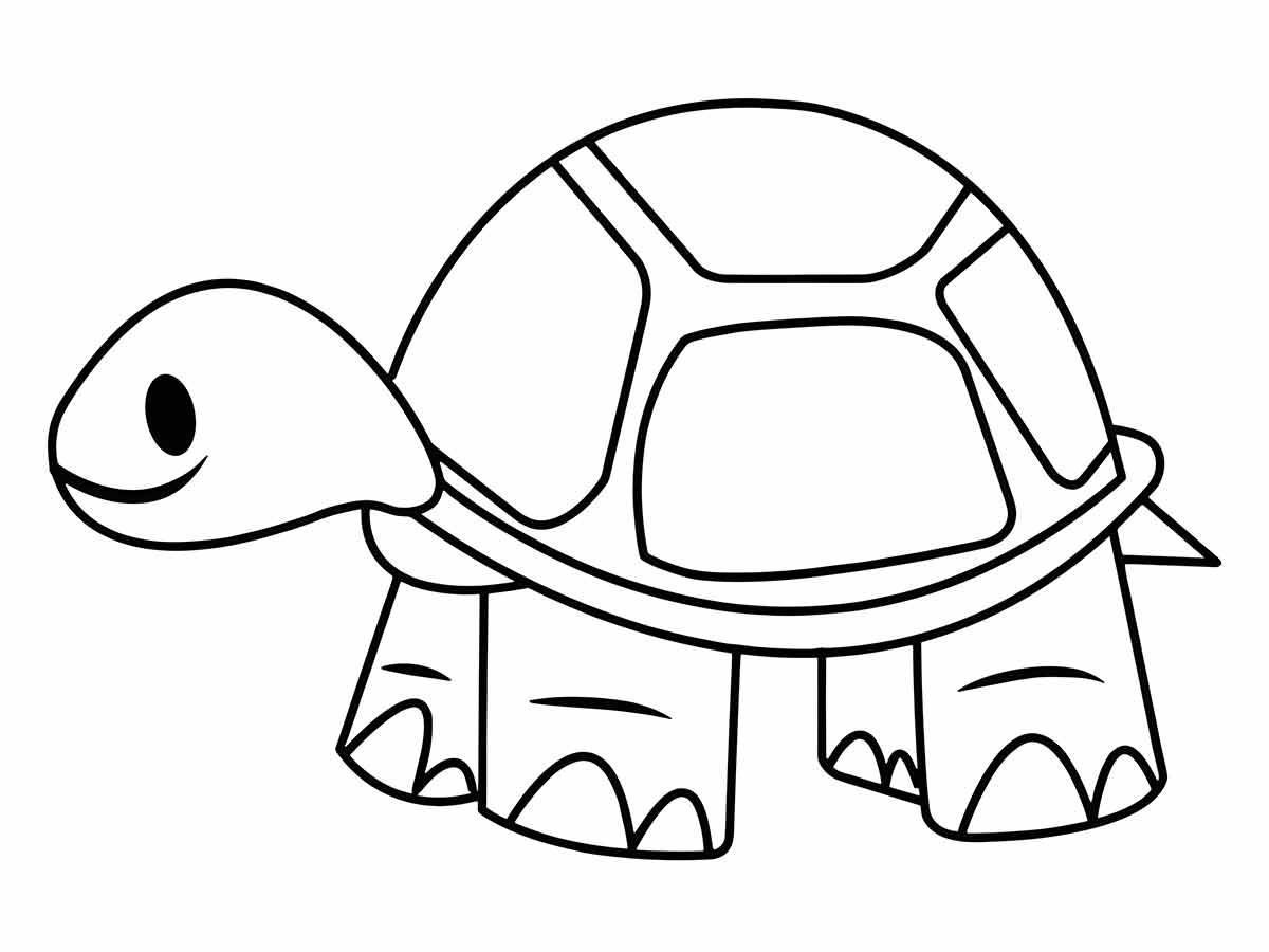 Desenho de Tartaruga para colorir