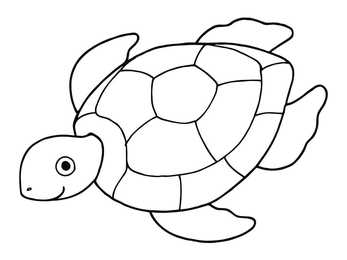 desenho de tartaruga para colorir 5 Desenhos para colorir