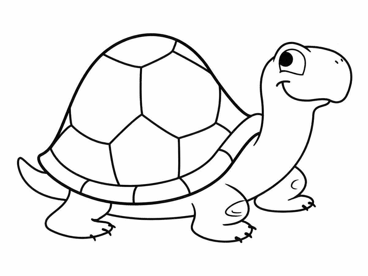 Desenho para colorir de uma tartaruga com uma concha grande com padrões hexagonais. Ela tem uma cabeça pequena com um sorriso largo e olhos redondos. Possui quatro patas com garras pequenas.