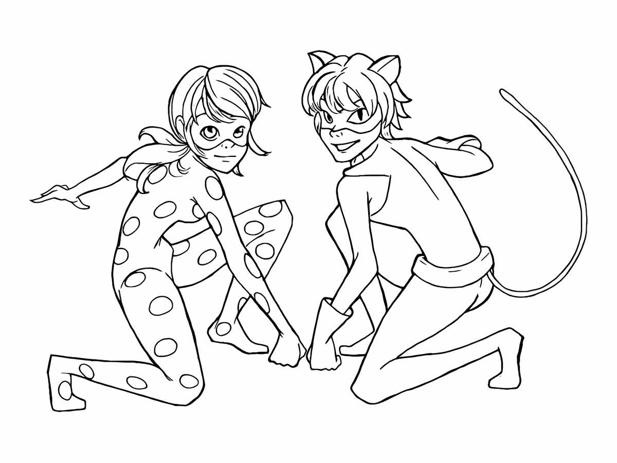 marinette ladybug e cat noir para colorir