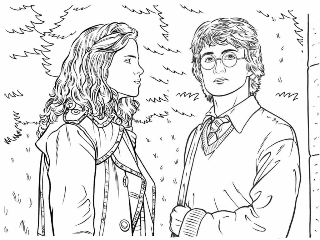 100 desenhos do Harry Potter para colorir