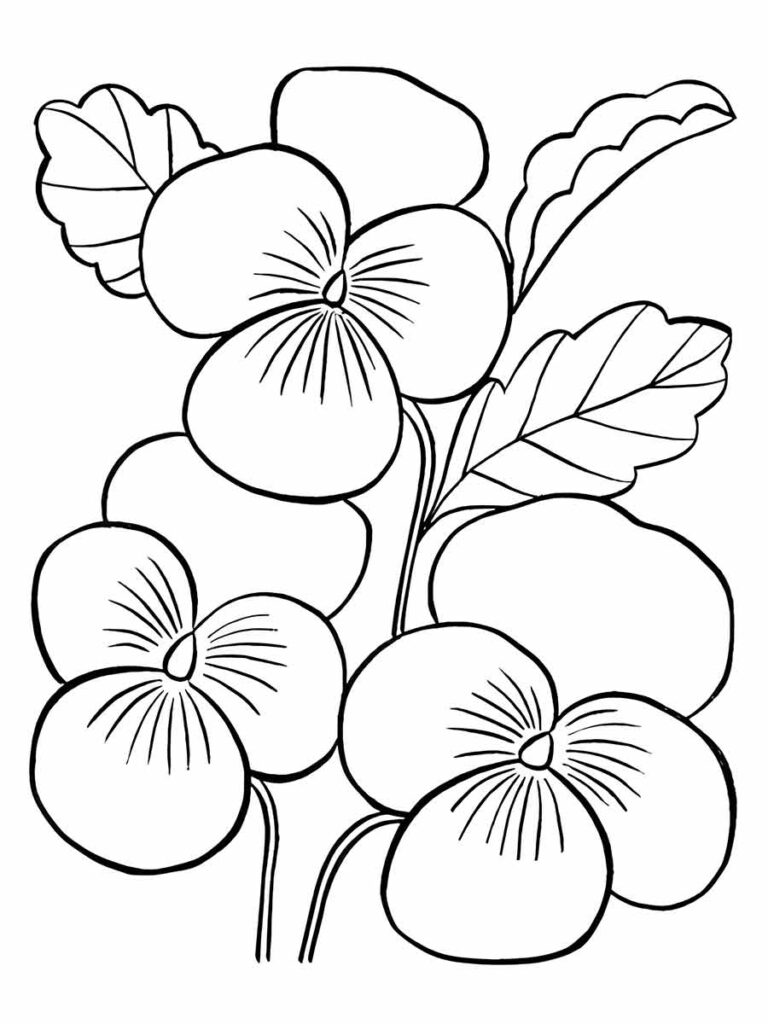 Desenhos de flores para imprimir e colorir - Dicas Práticas