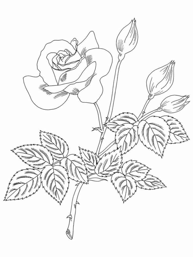 Desenho de flores para pintar e colorir