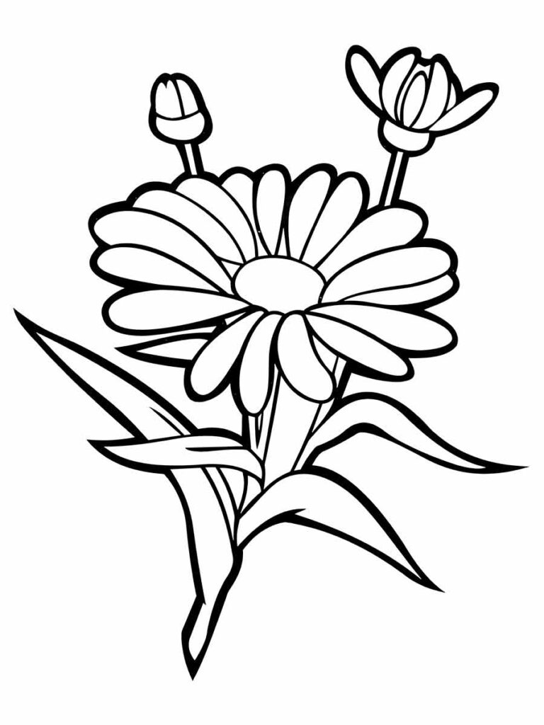 desenhos de flores para pintar e imprimir