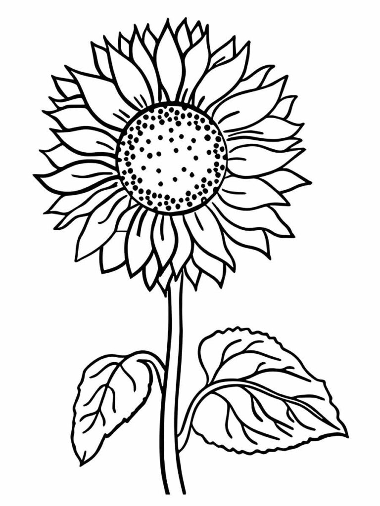 Desenhos para colorir de flores