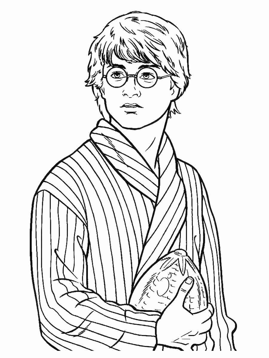 Desenho Educativo de Harry Potter