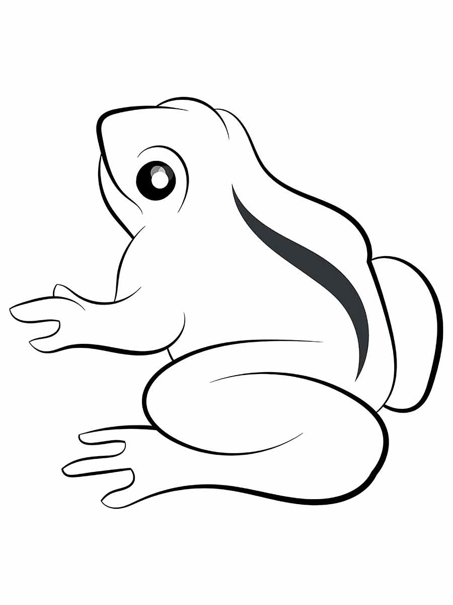 Desenho para colorir de um sapo. O sapo é um animal anfíbio que vive na água e na terra. Ele tem um corpo grande e redondo e uma cabeça pequena. Ele tem uma listra preta que corre pelo seu dorso. Ele pode saltar alto e comer insetos com sua língua comprida.