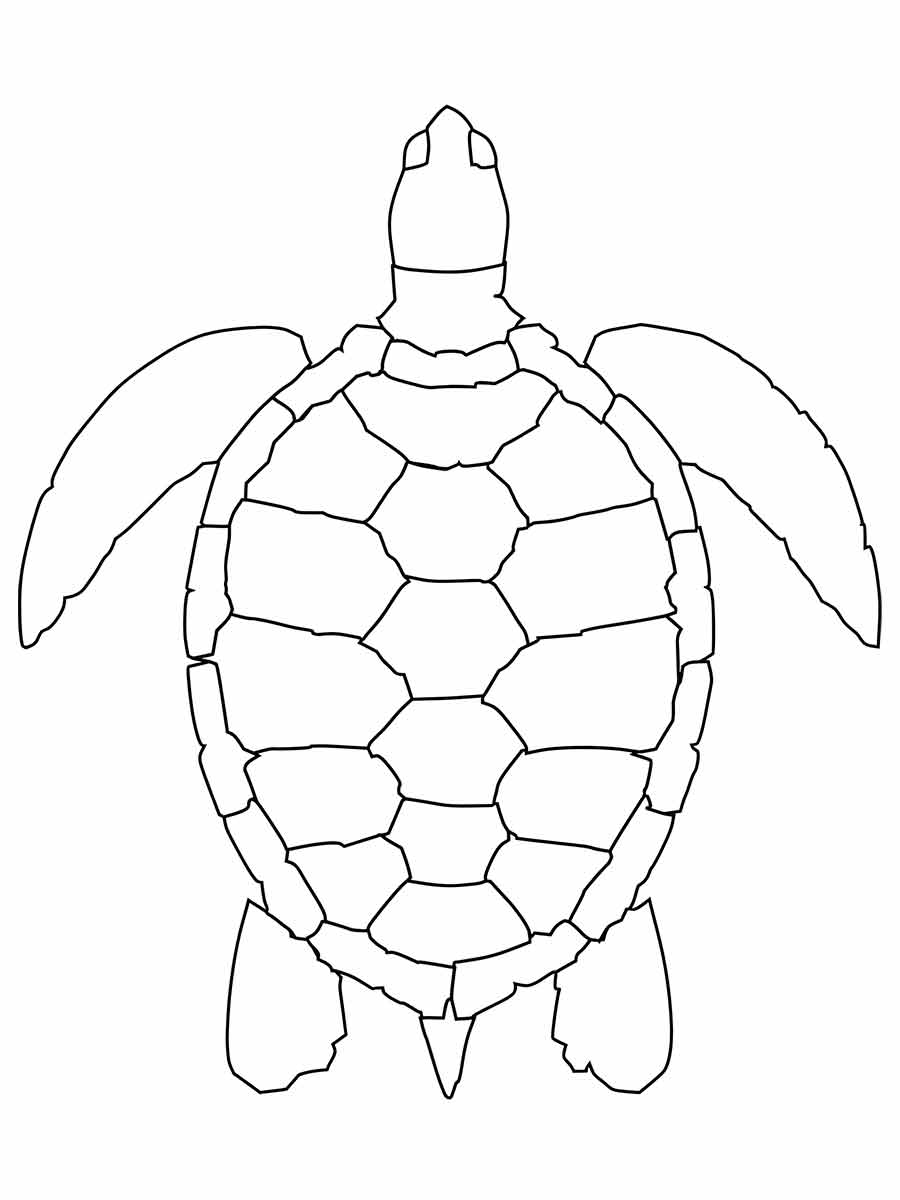 Desenho para colorir de uma tartaruga marinha em preto e branco, com casco hexagonal, quatro nadadeiras e cabeça pequena.