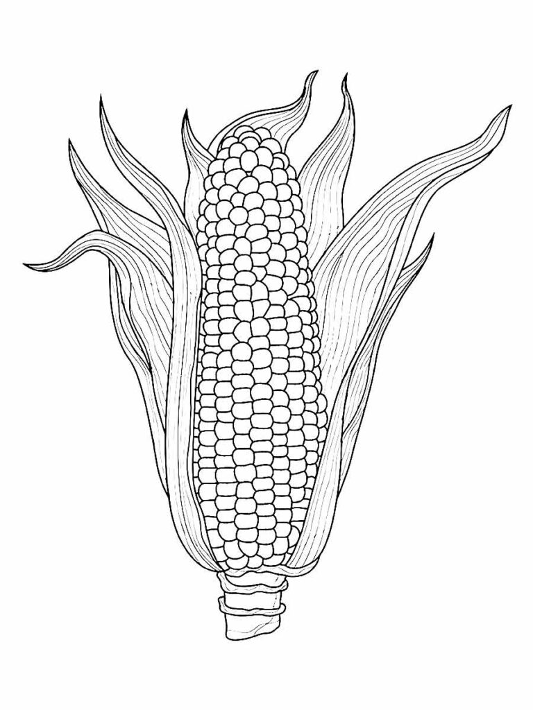 Desenho de Milho para colorir Festa Junina