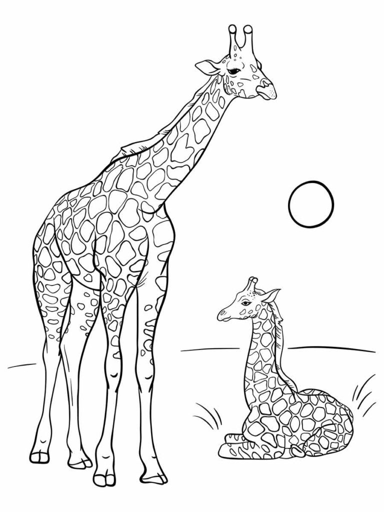 Desenhos de duas Girafas para colorir