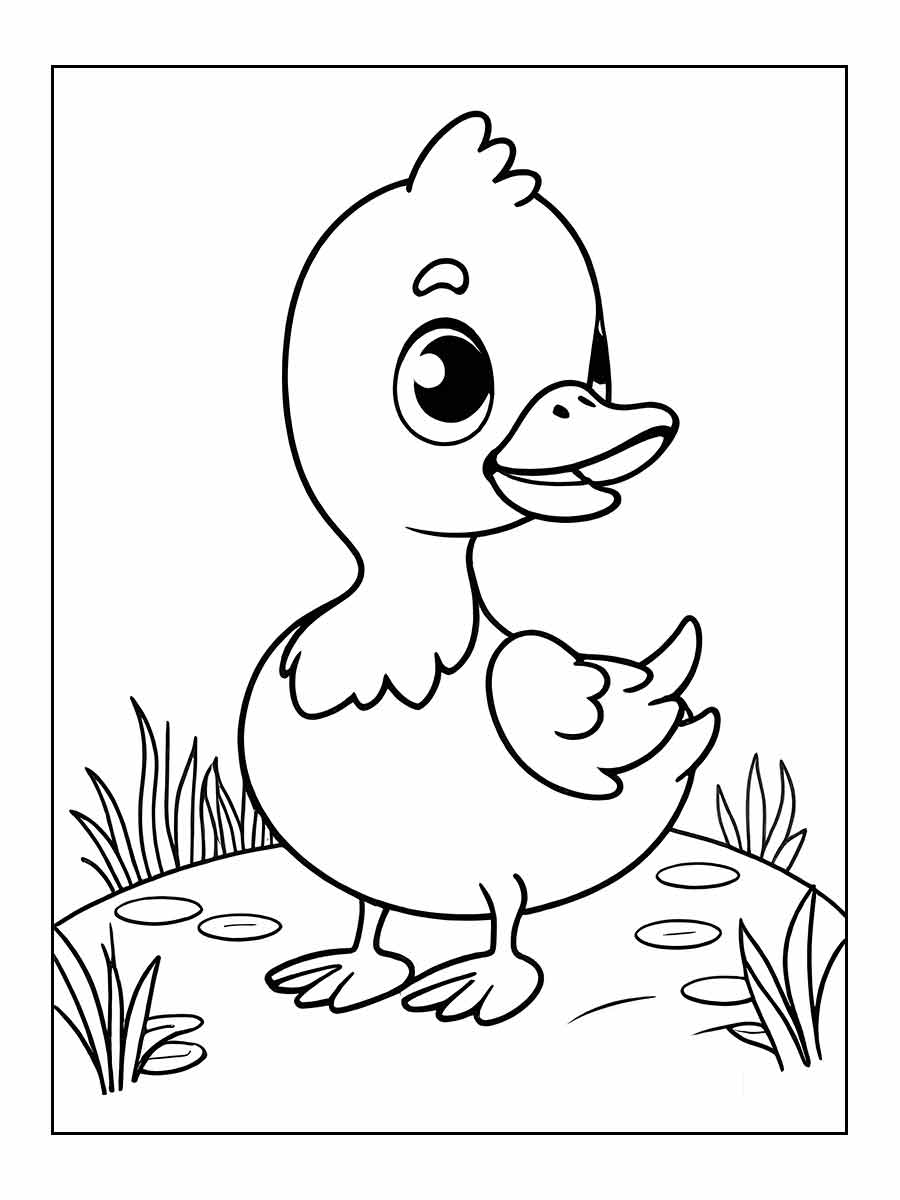 Desenhos para Pintar: Desenho de Pato para Colorir