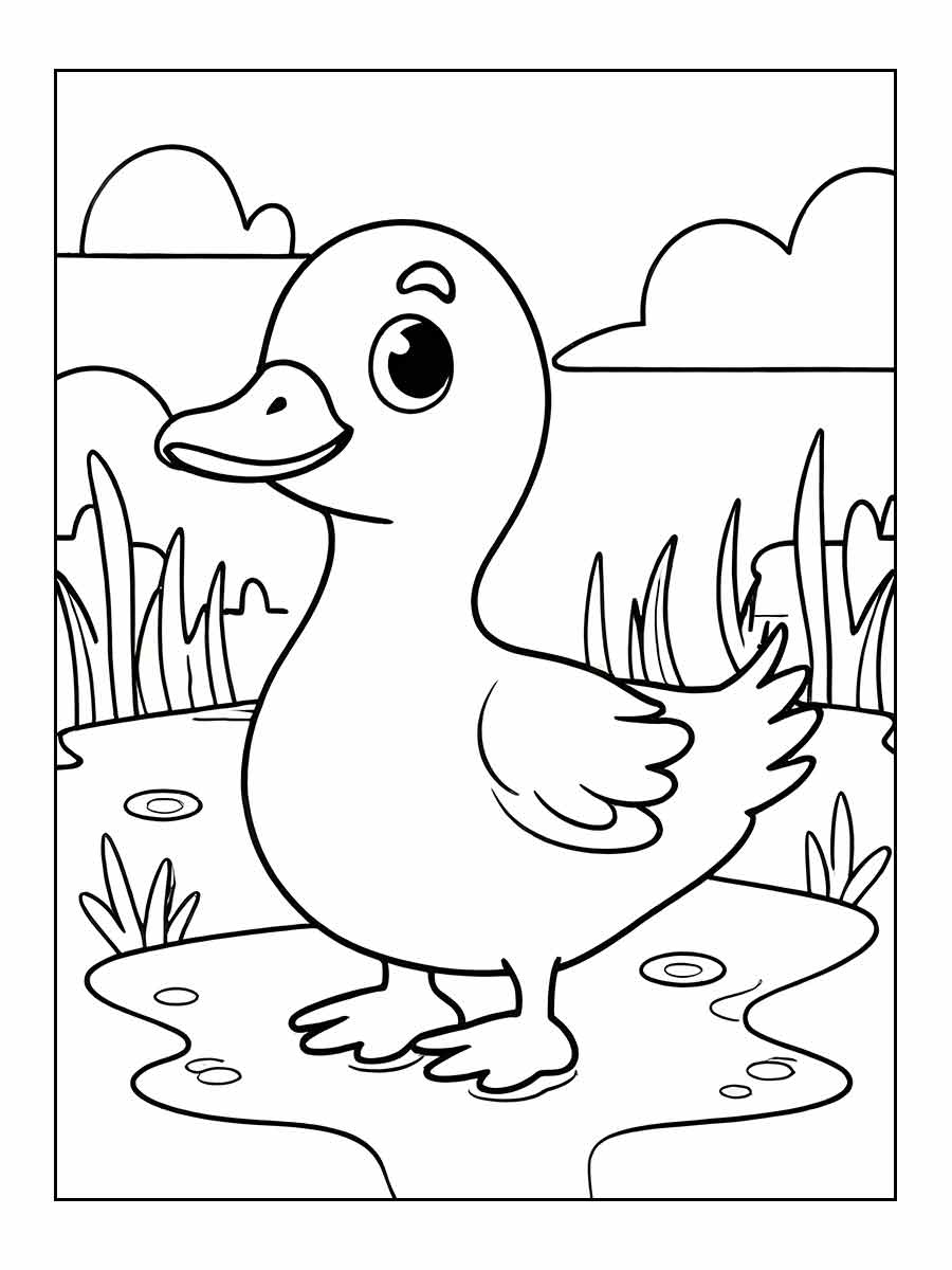 desenho-pato-para-colorir-25