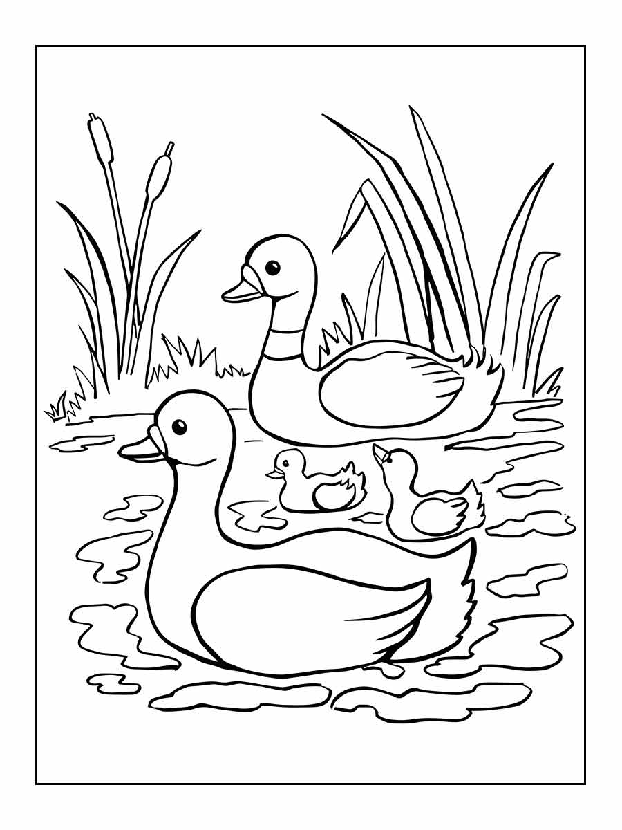 Desenhos para Pintar: Desenho de Pato para Colorir