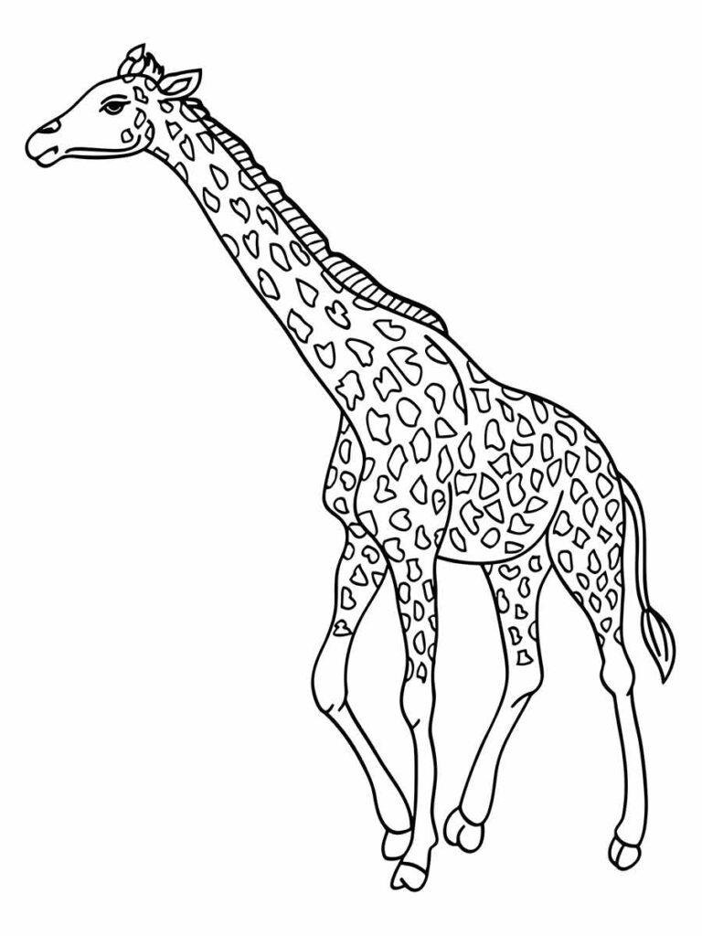 Desenho de Girafa para imprimir e colorir