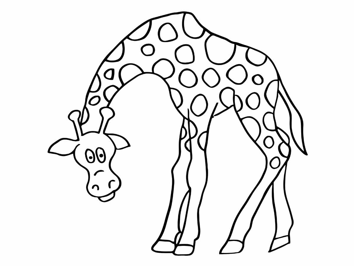 Desenho de Girafa para pintar e Colorir