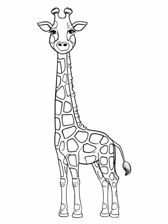 39 Desenhos De Girafa Para Colorir 7581