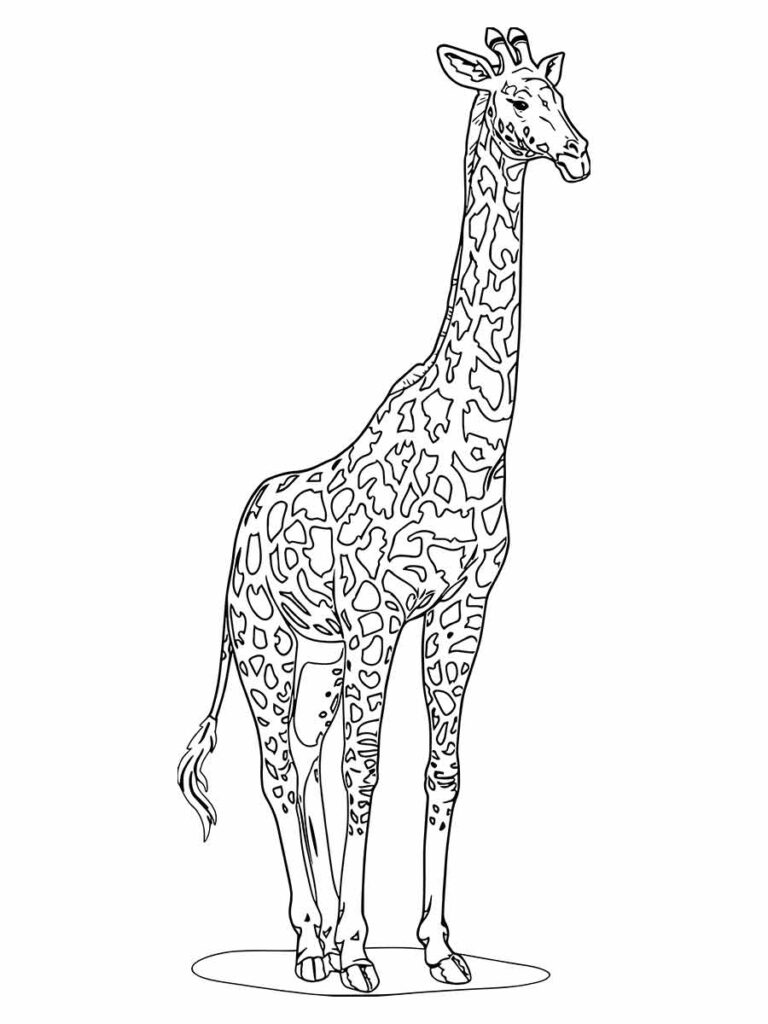 Desenho de Girafa para pintar