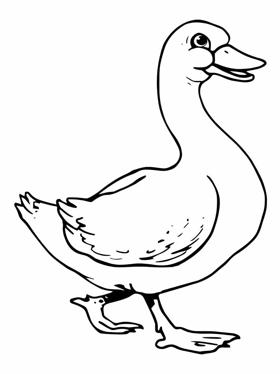 imagem do pato para colorir