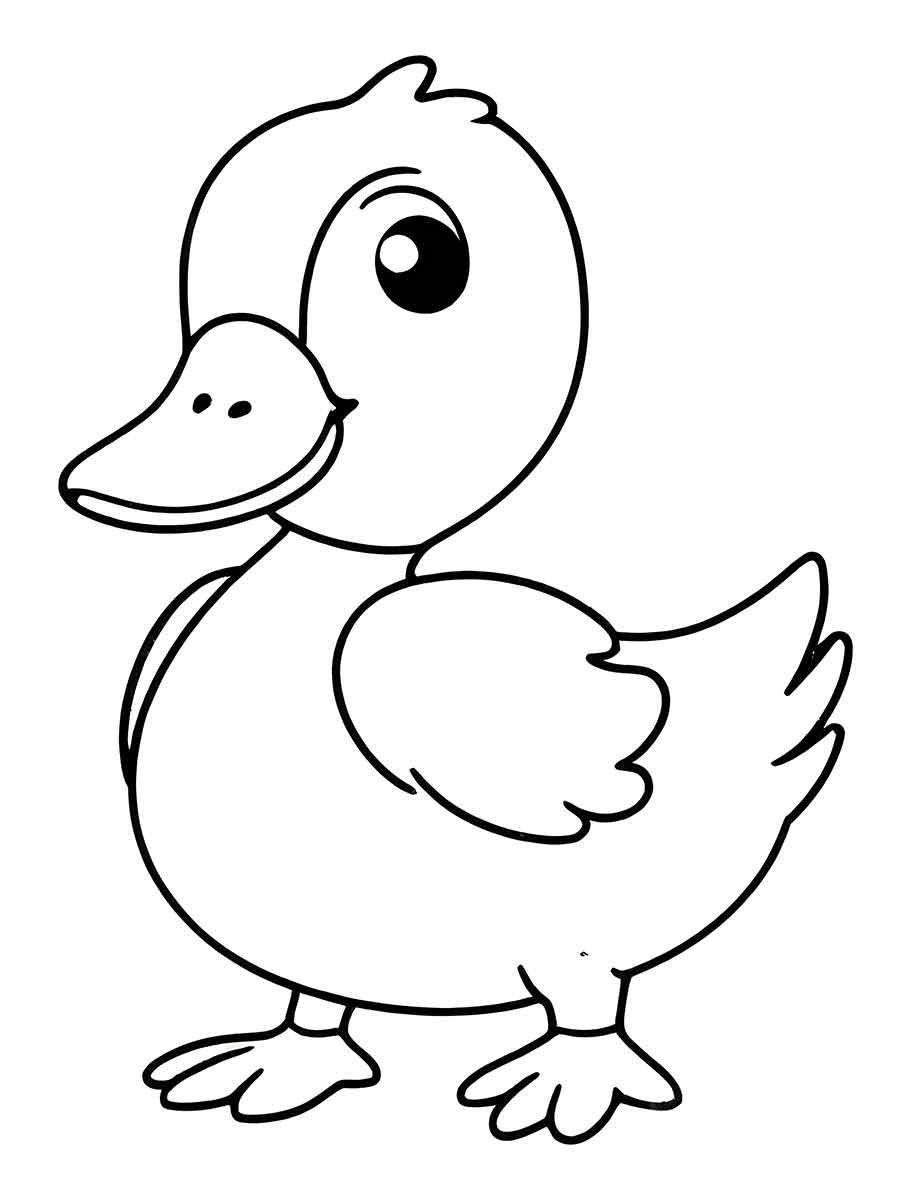 desenho de pato para colorir