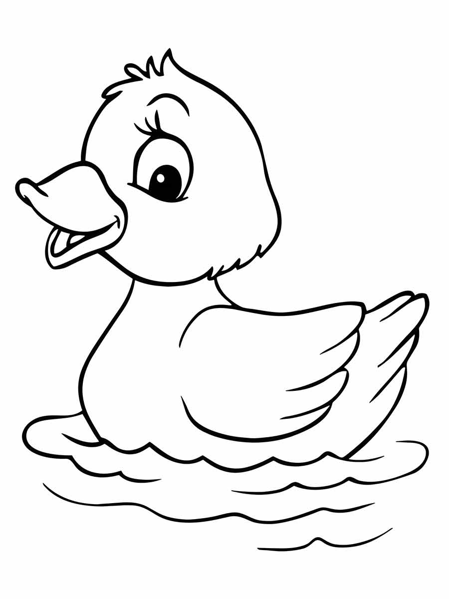 Desenhos para Pintar: Desenho de Pato para Colorir