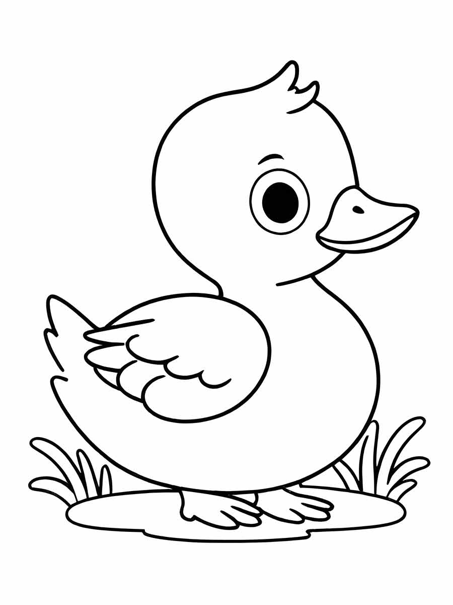 Desenhos para Pintar: Desenho de Pato para Colorir