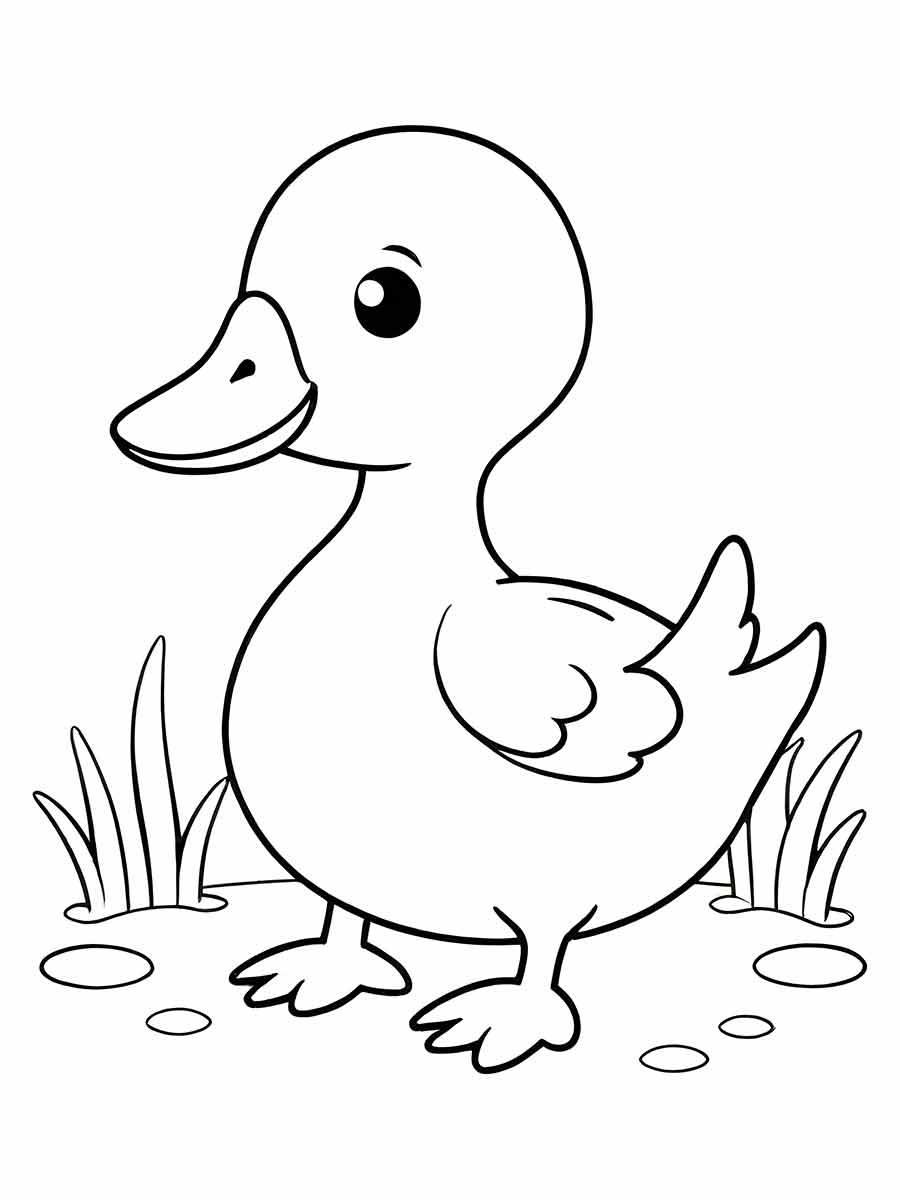 pato-para-colorir-4